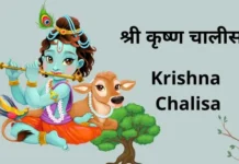 श्री कृष्ण चालीसा | Krishna Chalisa Krishna Chalisa