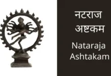 नटराज अष्टकम | Nataraja Ashtakam Nataraja Ashtakam