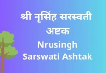 श्री नृसिंह सरस्वती अष्टक | Shri Nrusingh Sarswati Ashtak Nrusingh Sarswati Ashtak
