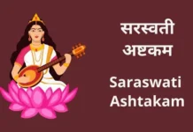 सरस्वती अष्टकम | Saraswati Ashtakam Saraswati Ashtakam
